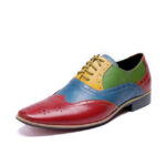 Men's Multi Color Shoes, Men's Leather Wing Tip Lace Up Casual Shoe.