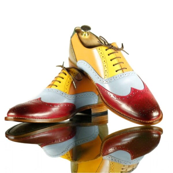 Multi Color Leather Shoes, Wing Tip Brogue Men's Shoes