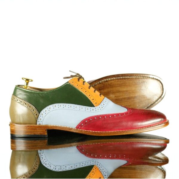 Multi Color Leather Shoes, Wing Tip Brogue Men's Shoes